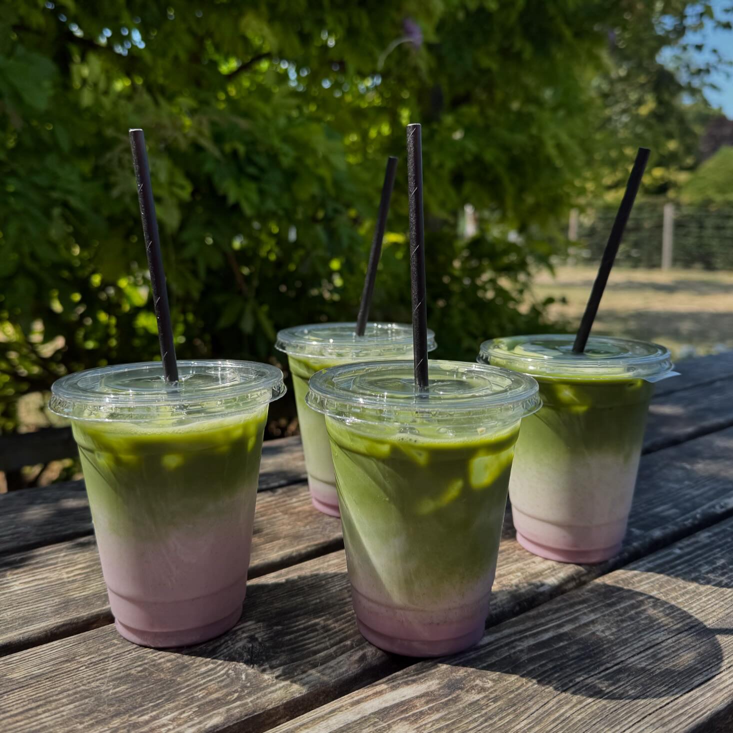 Iced matcha lattes outdoors